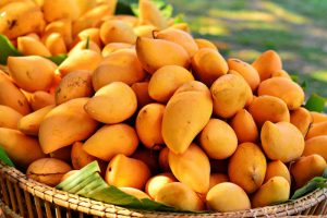 Irvingia Gabonensis African Mango Extract A A Pharmachem